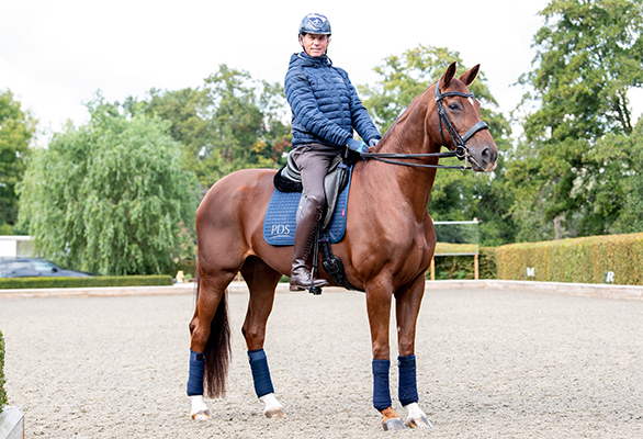 Foot perfect on Martin Collins Fibretrack at the FEI European Dressage Championships 2023 